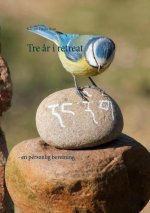 Tre ar i retreat