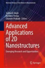 Advanced Applications of 2D Nanostructures