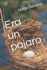 Era un pajaro
