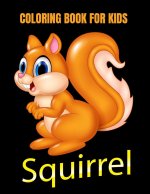 Squirrel coloring book for kids