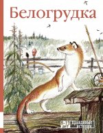 Белогрудка