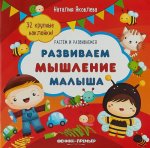 Развиваем мышление малыша. Книжка с наклейками