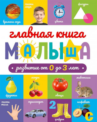 Главная книга малыша. Развитие от 0 до 3 лет