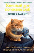 Уличный кот по имени Боб. Как человек и кот обрели надежду на улицах Лондона