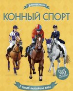Конный спорт