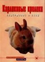 Карликовые кролики. Содержание и уход