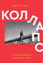 Коллапс. Случайное падение Берлинской стены