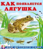 Как появляется лягушка