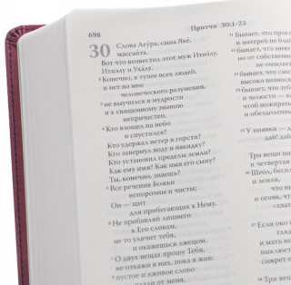 Библия. Современный русский перевод (Сине-розовый переплет, гибкая экокожа)
