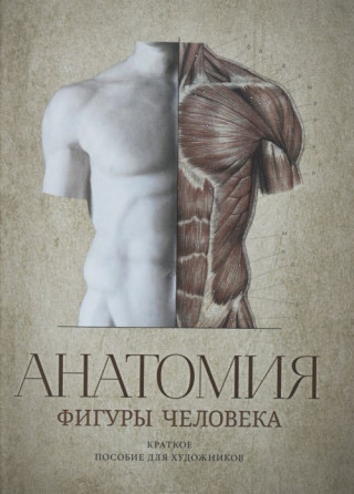 Анатомия фигуры человека / Anatomy Human Figure Guide for Artists in Russian language