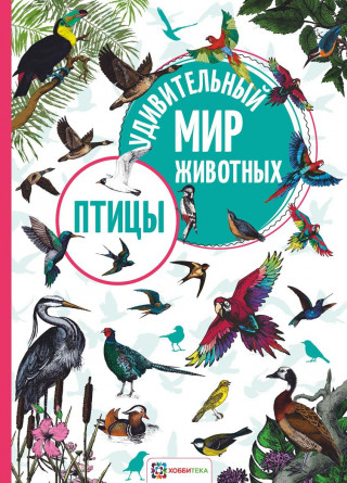 Птицы