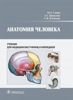 Анатомия человека. Учебник для медицинских училищ и колледжей