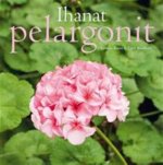 Ihanat pelargonit