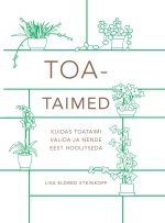 Toataimed. kuidas toataimi valida ja nende eest hoolitseda