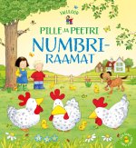 Pille ja peetri numbriraamat