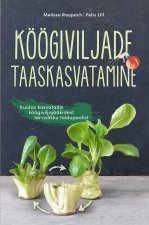 Köögiviljade taaskasvatmine. kuidas kasvatada köögiviljajääkidest tervislikku toidupoolist