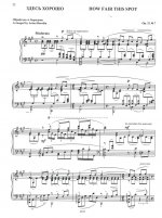 Романсы в обработке для фортепиано (С. Курсанов, В.Самарин, Б.Бородин, А.Шефер, А.Юровский)