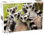 Puzzle Lemurs 500