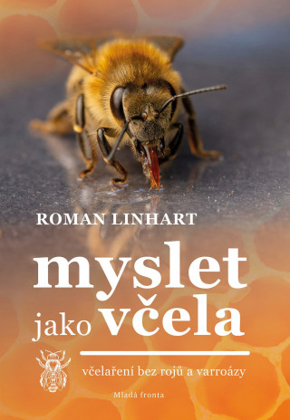 Myslet jako vďż˝ela