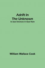 Adrift in the Unknown; or, Queer Adventures in a Queer Realm