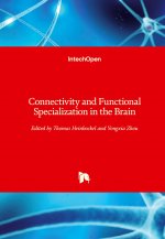 Connectivity and Functional Specialization in the Brain