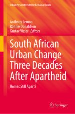 South African Urban Change Three Decades After Apartheid