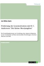 Förderung der Lesemotivation mit H. C. Andersens 
