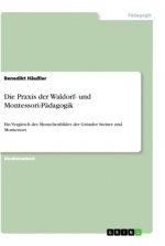 Die Praxis der Waldorf- und Montessori-Pädagogik