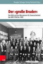 Der 'grosse Bruder'