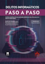DELITOS INFORMATICOS PASO A PASO