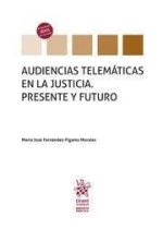 AUDIENCIAS TELEMATICAS EN LA JUSTICIA. PRESENTE Y FUTURO