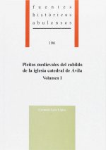 Pleitos medievales del cabildo de la iglesia catedral de Ávila