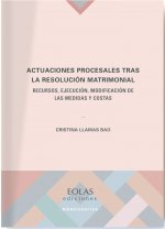 ACTUACIONES PROCESALES TRAS LA RESOLUCION MATRIMONIAL