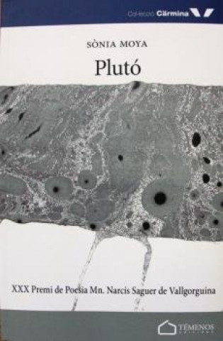 PLUTO