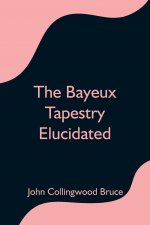 Bayeux Tapestry Elucidated