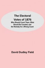 Electoral Votes of 1876; Who Should Count Them, What Should Be Counted, and the Remedy for a Wrong Count