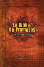 Santa Biblia de Promesas Reina-Valera 1960 / Edición de Jóvenes / Tapa Dura // Spanish Promise Bible Rvr 1960 / Youth Edition / Hardback