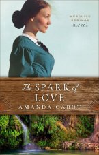 Spark of Love