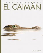 El Caimán