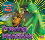 Praying Mantises