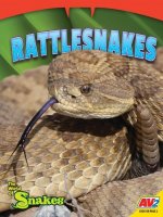 Rattlesnakes