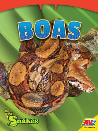 Boas