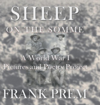 Sheep On The Somme