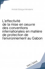 L EFFECTIVITE DE LA MISE EN OEUVRE DES CONVENTIONS INTERNATIONALES EN MATIERE DE PROTECTION