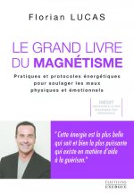 Le grand livre du magnétisme - Pratiques et protocoles énergétiques pour soulager les maux physiques