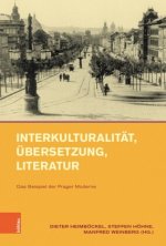 Interkulturalitat, ubersetzung, Literatur