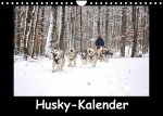 Husky-Kalender (Wandkalender 2022 DIN A4 quer)
