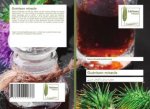 Guerison miracle