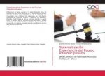 Sistematizacion Experiencia del Equipo Interdisciplinario