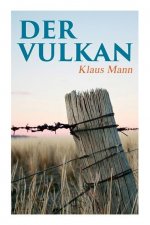 Der Vulkan